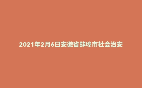 2021年2月6日安徽省蚌埠市社会治安综合治理综治中心《职业能力倾向测试》题