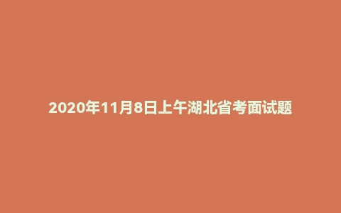 2020年11月8日上午湖北省考面试题