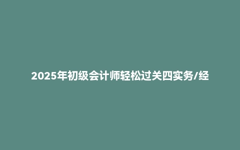 2025年初级会计师轻松过关四实务/经济法PDF电子版