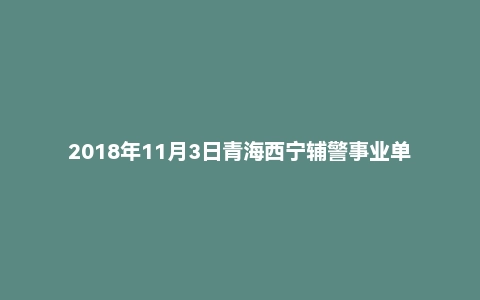 2018年11月3日青海西宁辅警事业单位面试真题