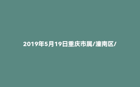 2019年5月19日重庆市属/潼南区/大足区教师招聘考试卷《综合基础知识》(教育类)题