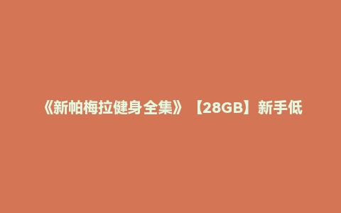 《新帕梅拉健身全集》【28GB】新手低强度全天高效减脂塑形合集