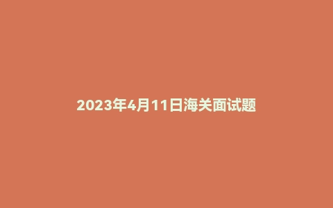 2023年4月11日海关面试题