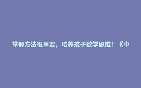 掌握方法很重要，培养孩子数学思维！《中小学数学要义》