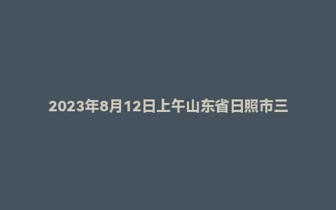 2023年8月12日上午山东省日照市三支一扶面试题