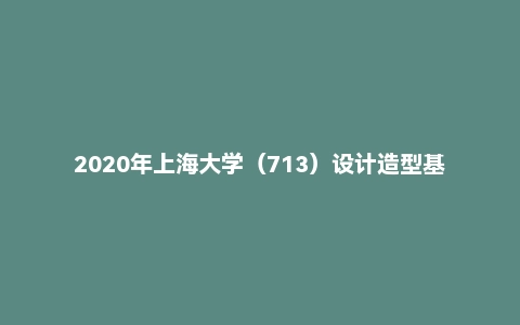 2020年上海大学（713）设计造型基础考研试题