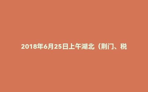 2018年6月25日上午湖北（荆门、税务系统）面试真题