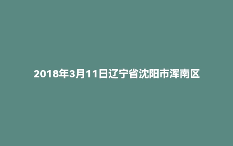 2018年3月11日辽宁省沈阳市浑南区招聘派遣制安全生产协管员《行政能力职业测验》精选题