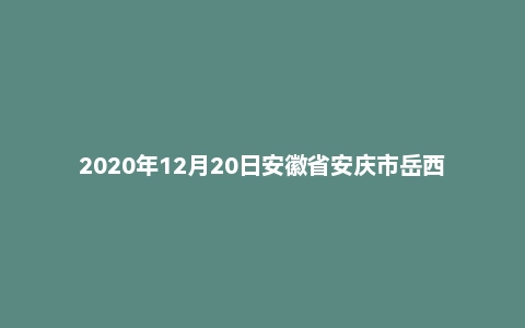 2020年12月20日安徽省安庆市岳西县事业单位考试《公共基础知识》试题