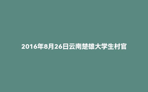 2016年8月26日云南楚雄大学生村官面试真题