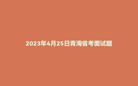 2023年4月25日青海省考面试题