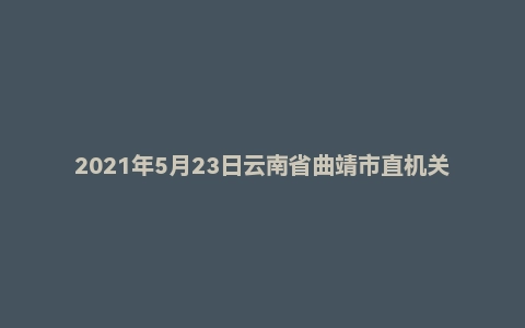 2021年5月23日云南省曲靖市直机关遴选公务员笔试真题(A卷)