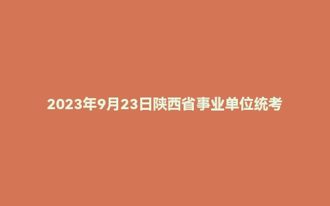 2023年9月23日陕西省事业单位统考D类《职业能力倾向测试》题