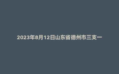 2023年8月12日山东省德州市三支一扶面试题