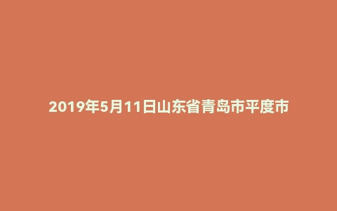 2019年5月11日山东省青岛市平度市事业单位面试真题