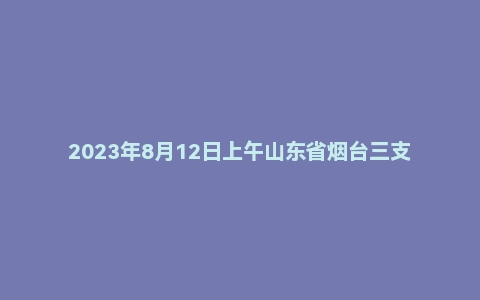 2023年8月12日上午山东省烟台三支一扶面试题