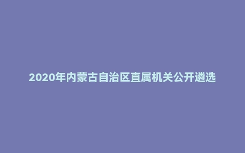 2020年内蒙古自治区直属机关公开遴选公务员笔试真题A类