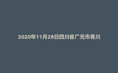 2020年11月28日四川省广元市青川县事业单位考试《综合知识》试题