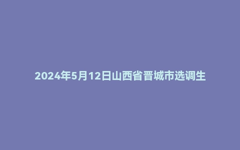 2024年5月12日山西省晋城市选调生面试题
