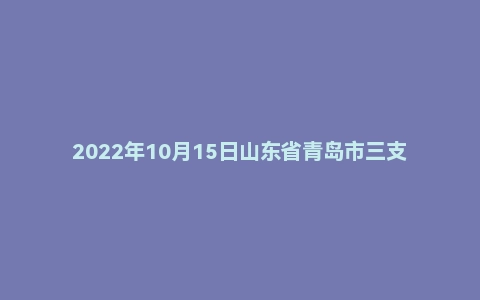 2022年10月15日山东省青岛市三支一扶面试题