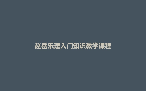 赵岳乐理入门知识教学课程
