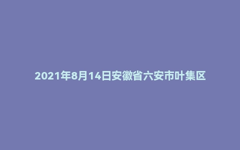 2021年8月14日安徽省六安市叶集区事业单位面试题