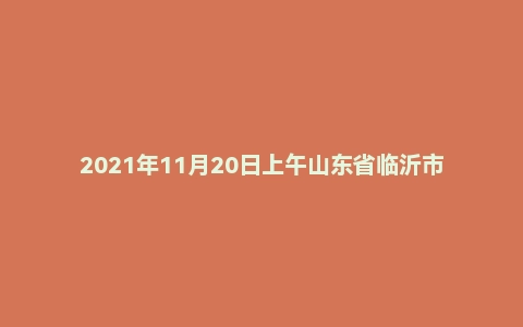 2021年11月20日上午山东省临沂市费县三支一扶面试题