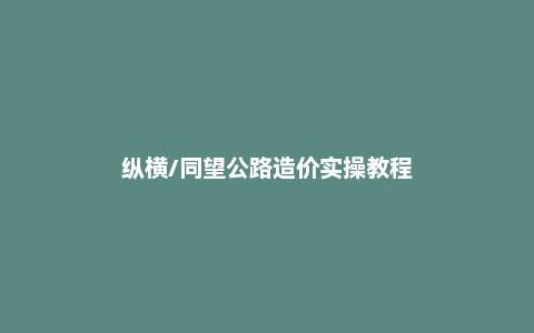 纵横/同望公路造价实操教程