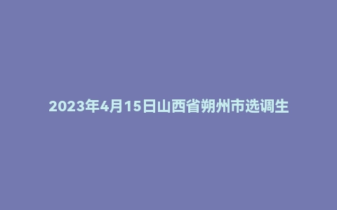 2023年4月15日山西省朔州市选调生面试题