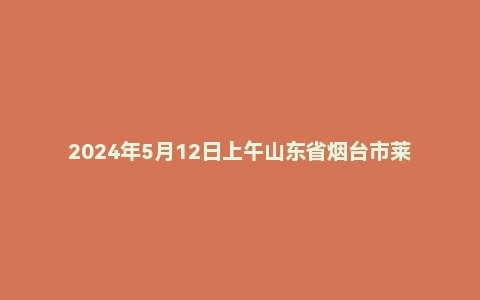 2024年5月12日上午山东省烟台市莱阳市事业单位面试题