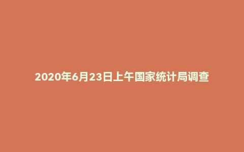 2020年6月23日上午国家统计局调查队面试题