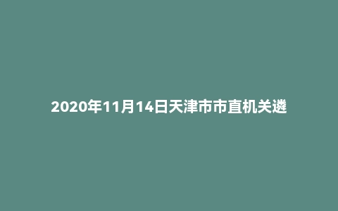 2020年11月14日天津市市直机关遴选公务员笔试真题