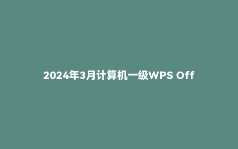 2024年3月计算机一级WPS Office/MS Office