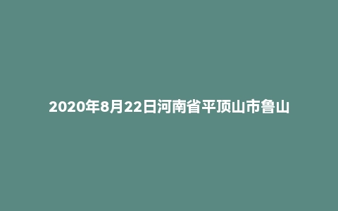 2020年8月22日河南省平顶山市鲁山县乡镇和街道机构改革减县补乡选派人员招聘考试《综合知识》精选题