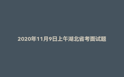 2020年11月9日上午湖北省考面试题