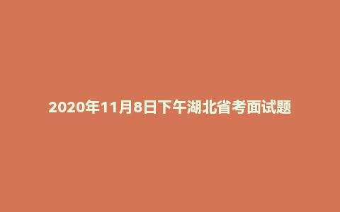 2020年11月8日下午湖北省考面试题