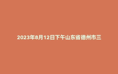 2023年8月12日下午山东省德州市三支一扶面试题