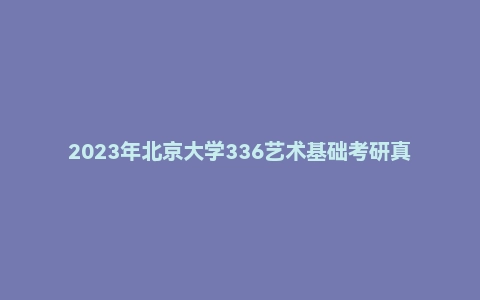 2023年北京大学336艺术基础考研真题