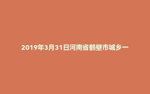 2019年3月31日河南省鹤壁市城乡一体化示范区《公共基础知识》试题