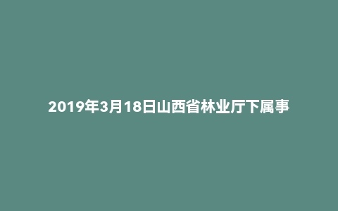 2019年3月18日山西省林业厅下属事业单位面试题