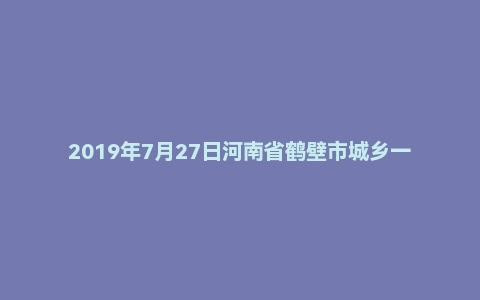 2019年7月27日河南省鹤壁市城乡一体化示范区教师招聘考试中学政治试题
