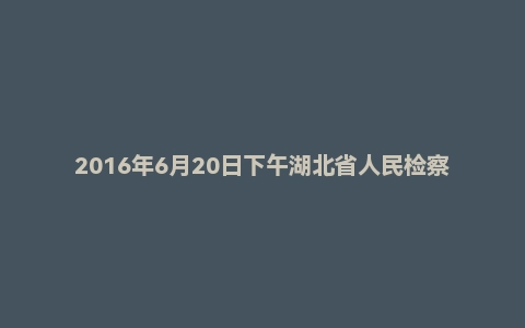 2016年6月20日下午湖北省人民检察官助理面试真题
