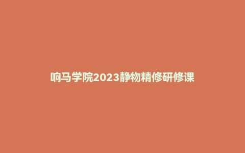 响马学院2023静物精修研修课