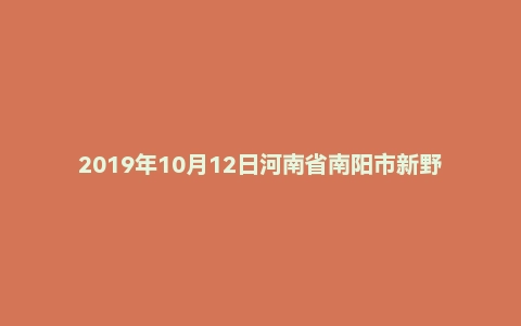2019年10月12日河南省南阳市新野县事业单位考试《公共基础知识》试题