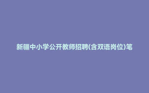 新疆中小学公开教师招聘(含双语岗位)笔试试卷汉语(B卷)