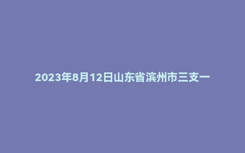 2023年8月12日山东省滨州市三支一扶面试题
