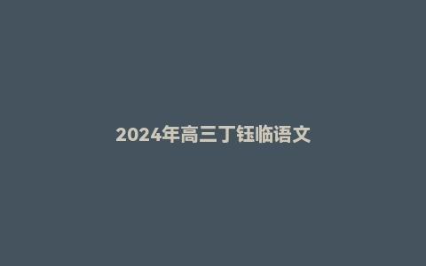 2024年高三丁钰临语文