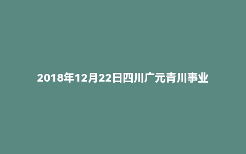2018年12月22日四川广元青川事业单位《综合知识》真题