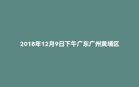 2018年12月9日下午广东广州黄埔区选调生面试真题