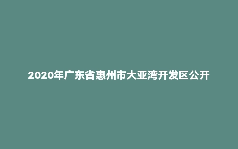 2020年广东省惠州市大亚湾开发区公开教师招聘公办中小学临聘教师笔试题
